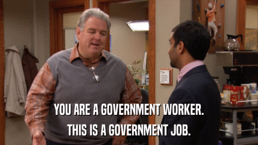 YOU ARE A GOVERNMENT WORKER. THIS IS A GOVERNMENT JOB. 