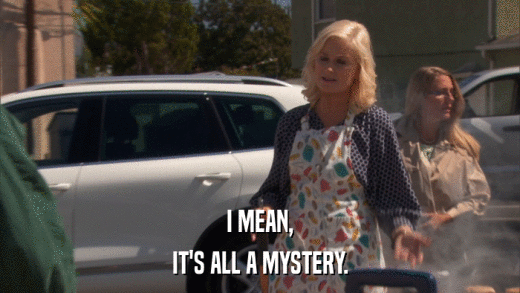 I MEAN, IT'S ALL A MYSTERY. 