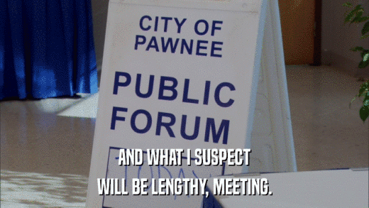 AND WHAT I SUSPECT WILL BE LENGTHY, MEETING. 
