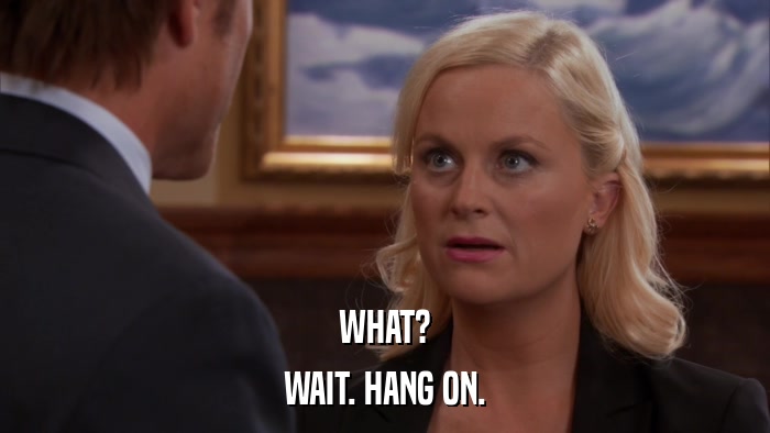 WHAT? WAIT. HANG ON. 