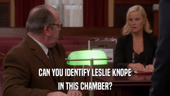 CAN YOU IDENTIFY LESLIE KNOPE IN THIS CHAMBER? 