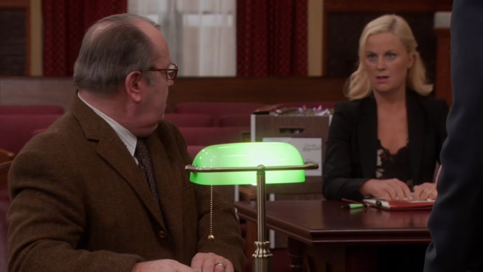 CAN YOU IDENTIFY LESLIE KNOPE IN THIS CHAMBER? 