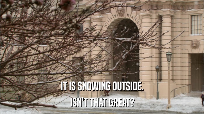 IT IS SNOWING OUTSIDE. ISN'T THAT GREAT? 