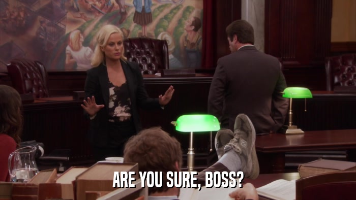 ARE YOU SURE, BOSS?  
