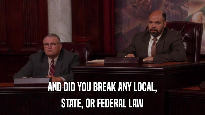 AND DID YOU BREAK ANY LOCAL, STATE, OR FEDERAL LAW 