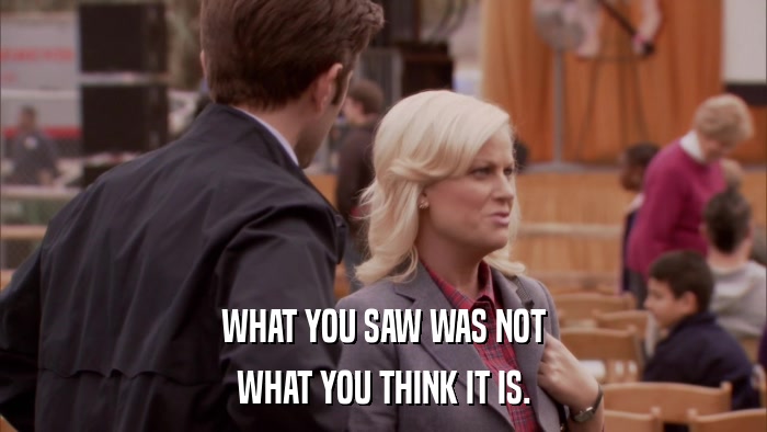 WHAT YOU SAW WAS NOT WHAT YOU THINK IT IS. 