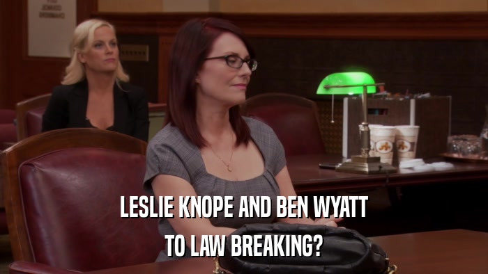 LESLIE KNOPE AND BEN WYATT TO LAW BREAKING? 