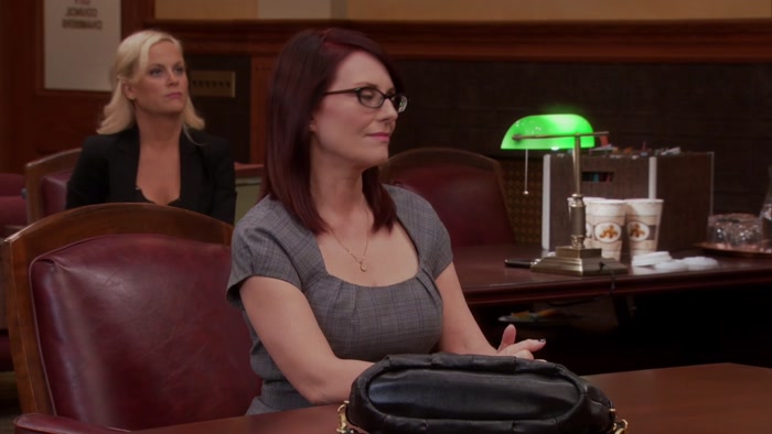 LESLIE KNOPE AND BEN WYATT TO LAW BREAKING? 