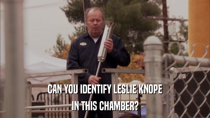 CAN YOU IDENTIFY LESLIE KNOPE IN THIS CHAMBER? 
