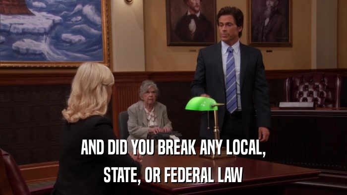 AND DID YOU BREAK ANY LOCAL, STATE, OR FEDERAL LAW 