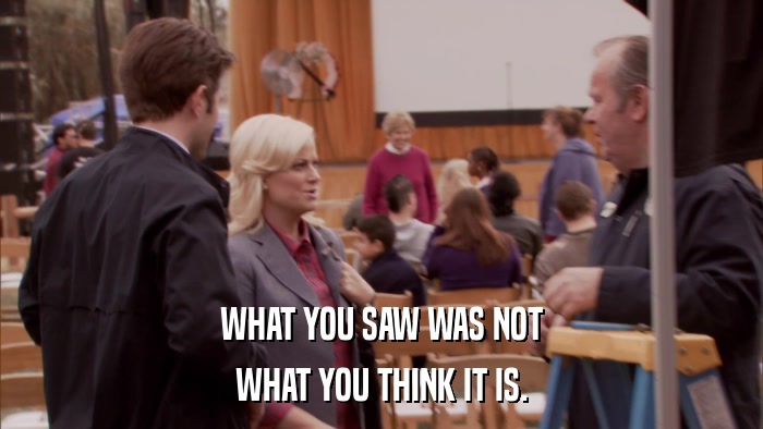 WHAT YOU SAW WAS NOT WHAT YOU THINK IT IS. 