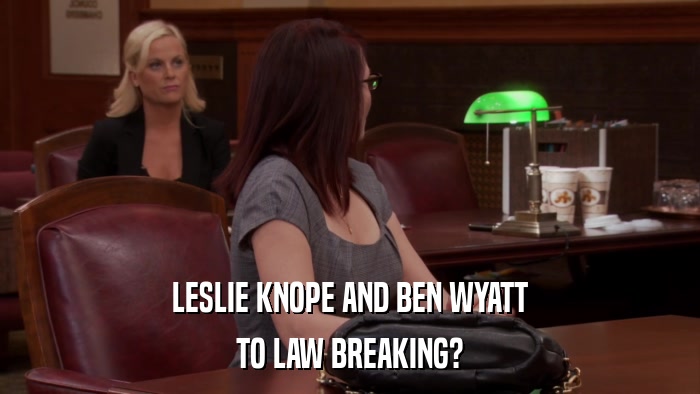 LESLIE KNOPE AND BEN WYATT TO LAW BREAKING? 