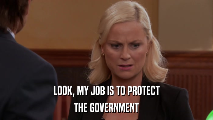 LOOK, MY JOB IS TO PROTECT THE GOVERNMENT 