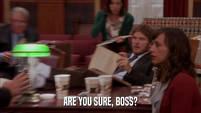 ARE YOU SURE, BOSS?  