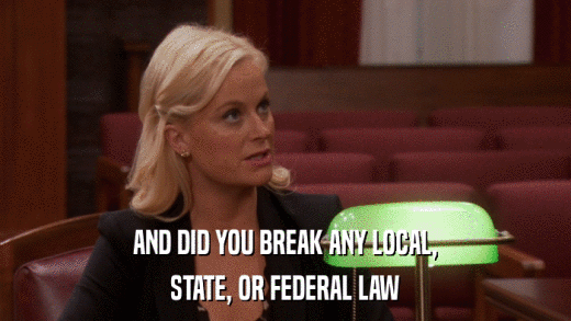 AND DID YOU BREAK ANY LOCAL, STATE, OR FEDERAL LAW 