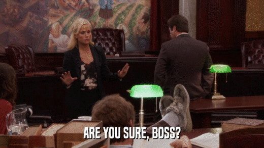 ARE YOU SURE, BOSS?  