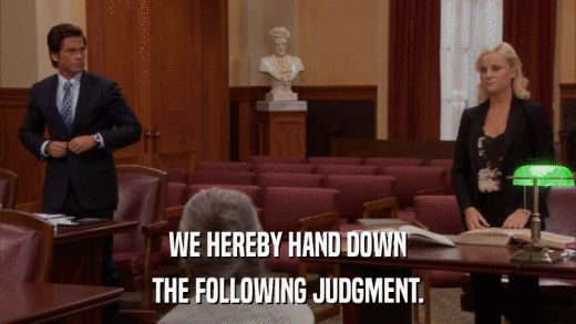 WE HEREBY HAND DOWN THE FOLLOWING JUDGMENT. 