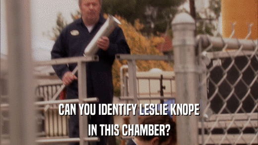 CAN YOU IDENTIFY LESLIE KNOPE IN THIS CHAMBER? 