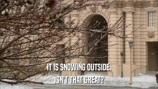 IT IS SNOWING OUTSIDE. ISN'T THAT GREAT? 