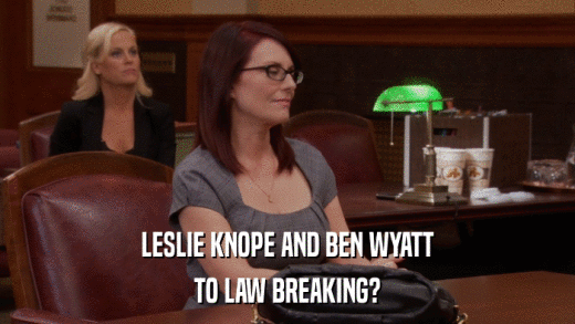LESLIE KNOPE AND BEN WYATT TO LAW BREAKING? 