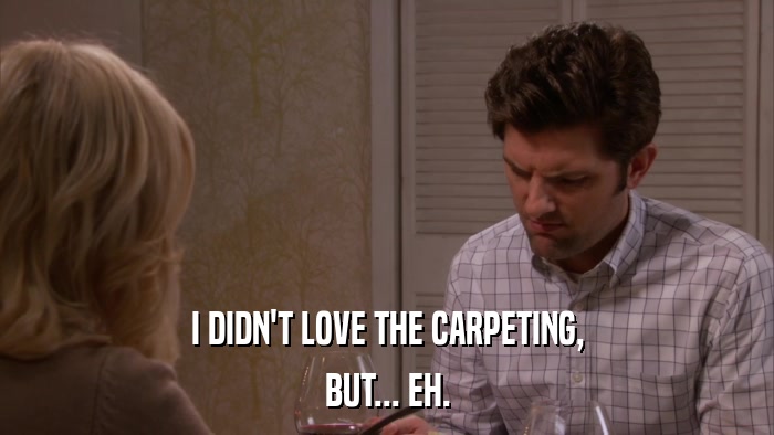 I DIDN'T LOVE THE CARPETING, BUT... EH. 