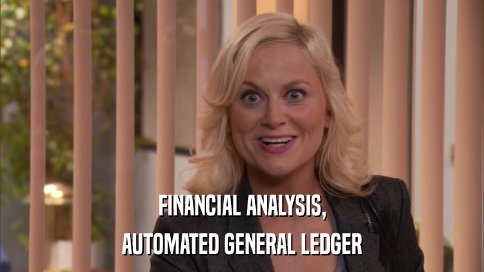 FINANCIAL ANALYSIS, AUTOMATED GENERAL LEDGER 