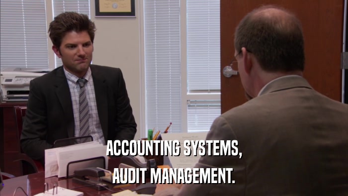 ACCOUNTING SYSTEMS, AUDIT MANAGEMENT. 