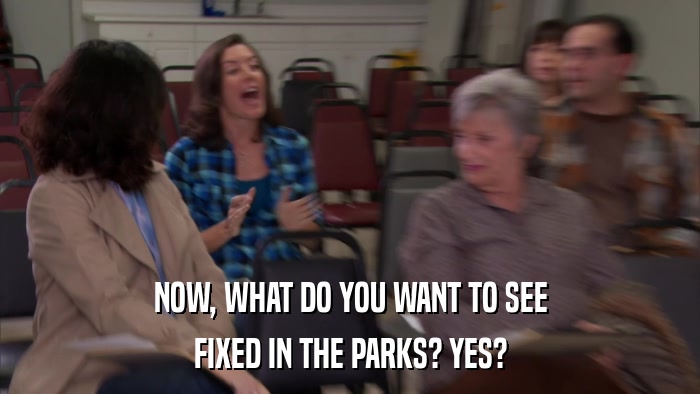 NOW, WHAT DO YOU WANT TO SEE FIXED IN THE PARKS? YES? 