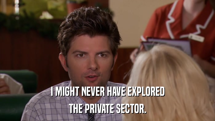 I MIGHT NEVER HAVE EXPLORED THE PRIVATE SECTOR. 