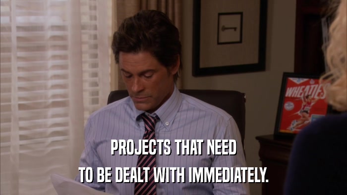PROJECTS THAT NEED TO BE DEALT WITH IMMEDIATELY. 