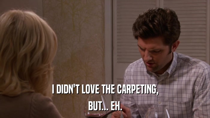 I DIDN'T LOVE THE CARPETING, BUT... EH. 