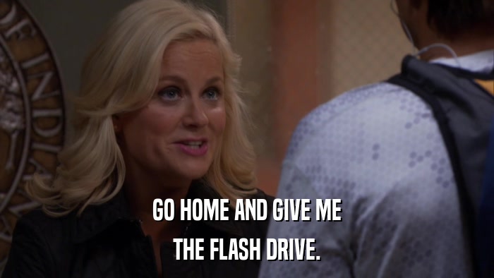 GO HOME AND GIVE ME THE FLASH DRIVE. 