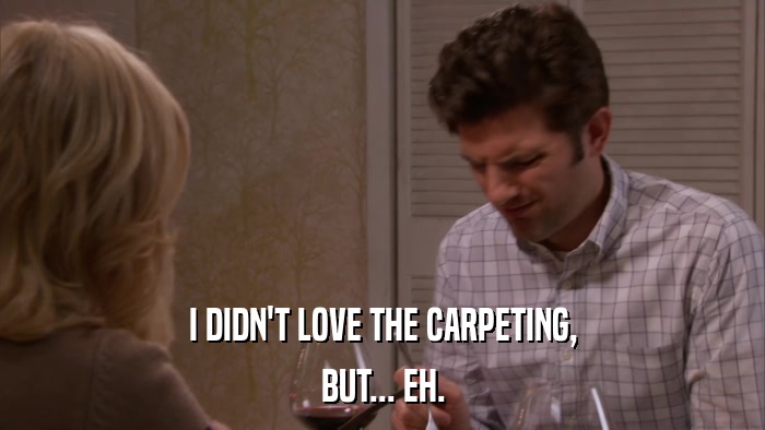 I DIDN'T LOVE THE CARPETING, BUT... EH. 
