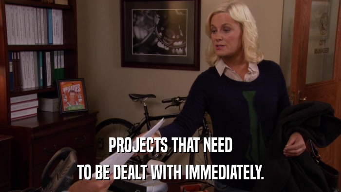 PROJECTS THAT NEED TO BE DEALT WITH IMMEDIATELY. 