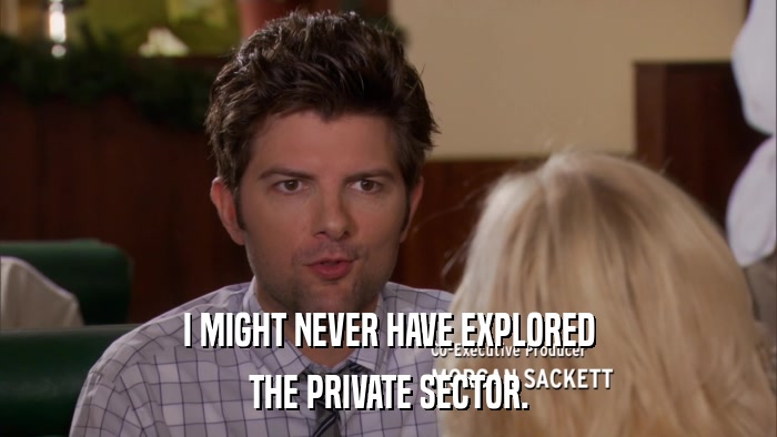 I MIGHT NEVER HAVE EXPLORED THE PRIVATE SECTOR. 