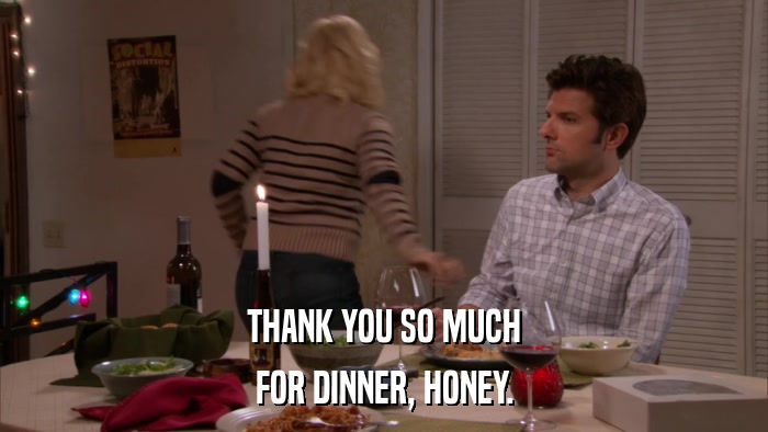 THANK YOU SO MUCH FOR DINNER, HONEY. 
