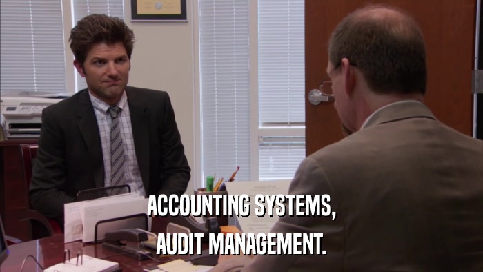 ACCOUNTING SYSTEMS, AUDIT MANAGEMENT. 