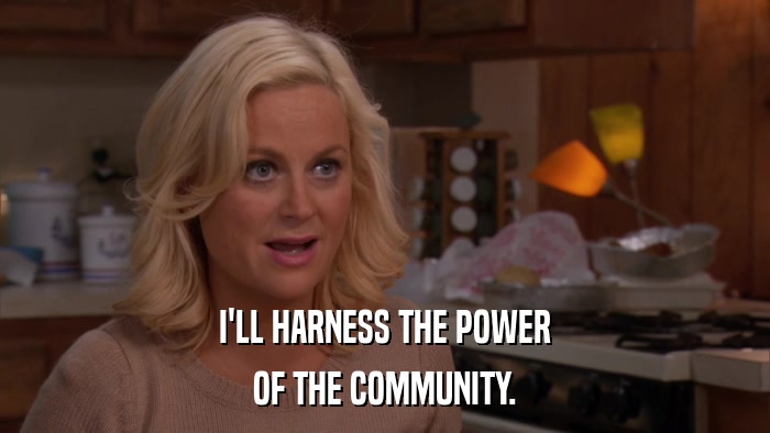 I'LL HARNESS THE POWER OF THE COMMUNITY. 