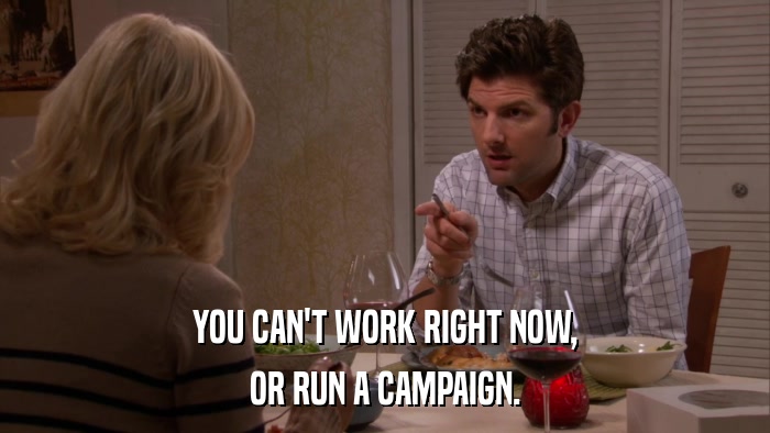 YOU CAN'T WORK RIGHT NOW, OR RUN A CAMPAIGN. 