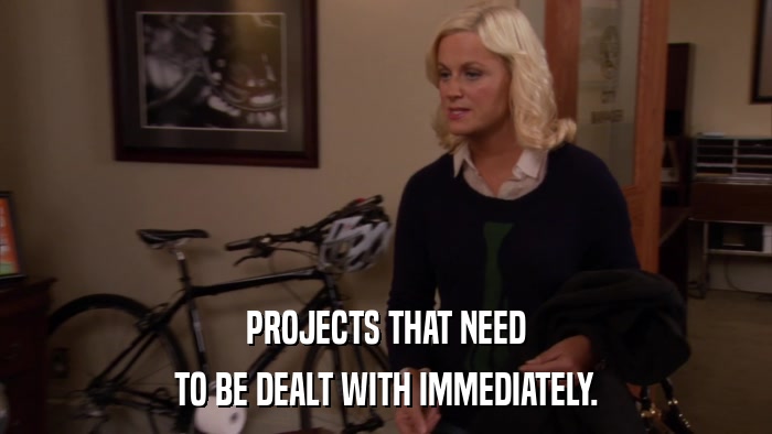 PROJECTS THAT NEED TO BE DEALT WITH IMMEDIATELY. 