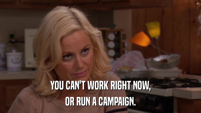 YOU CAN'T WORK RIGHT NOW, OR RUN A CAMPAIGN. 