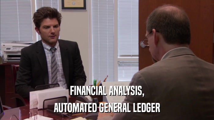 FINANCIAL ANALYSIS, AUTOMATED GENERAL LEDGER 