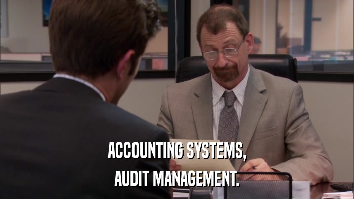 ACCOUNTING SYSTEMS, AUDIT MANAGEMENT. 