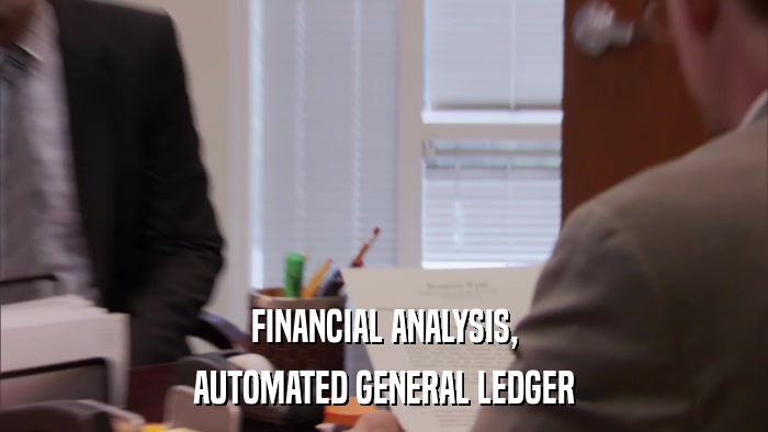 FINANCIAL ANALYSIS, AUTOMATED GENERAL LEDGER 