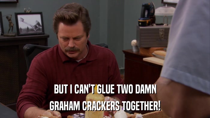 BUT I CAN'T GLUE TWO DAMN GRAHAM CRACKERS TOGETHER! 