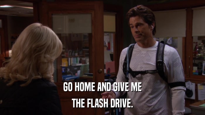 GO HOME AND GIVE ME THE FLASH DRIVE. 