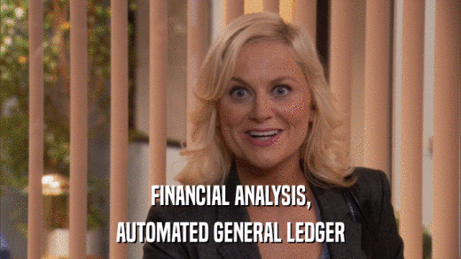 FINANCIAL ANALYSIS, AUTOMATED GENERAL LEDGER 