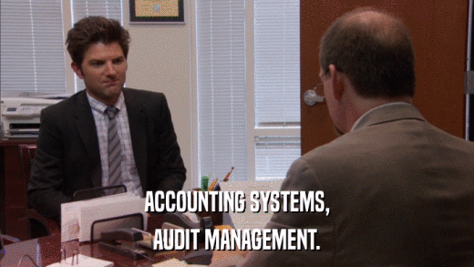 ACCOUNTING SYSTEMS, AUDIT MANAGEMENT. 