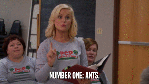 NUMBER ONE: ANTS.  
