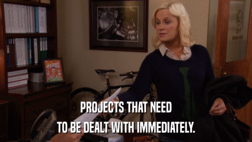 PROJECTS THAT NEED TO BE DEALT WITH IMMEDIATELY. 